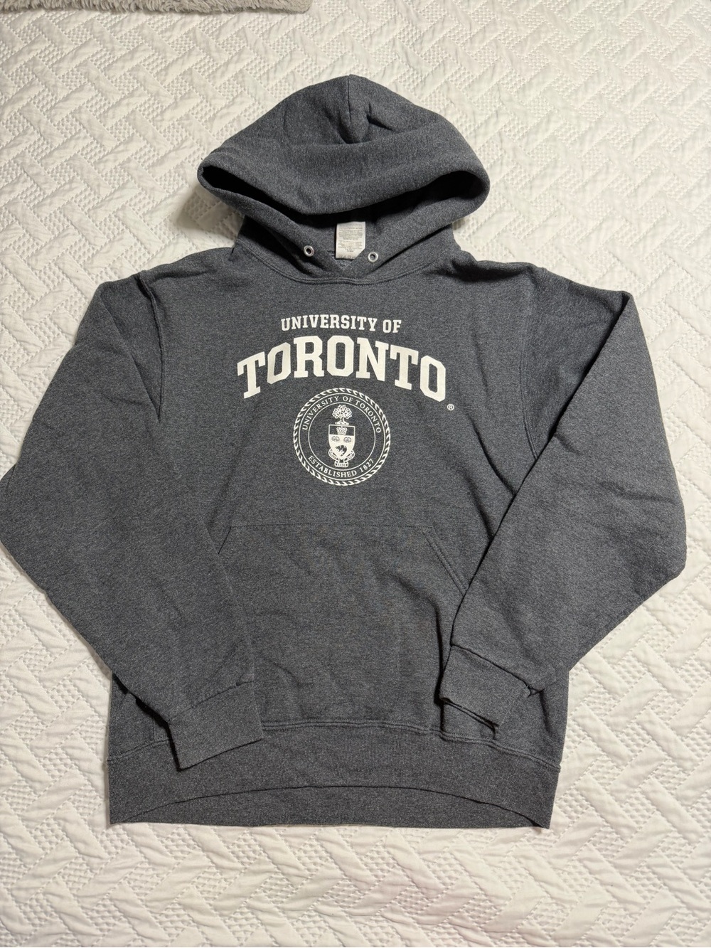 University of Toronto Varsity Gray Hoodie Pullover Sweatshirt Adult Men Small